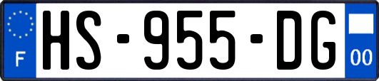 HS-955-DG
