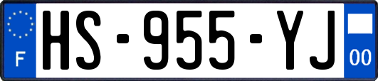 HS-955-YJ