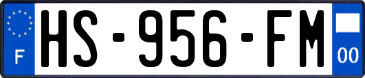 HS-956-FM