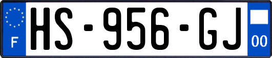 HS-956-GJ
