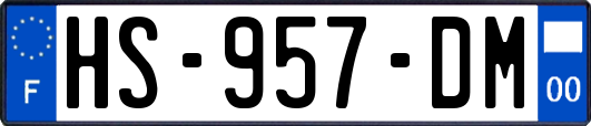 HS-957-DM