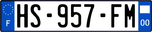 HS-957-FM