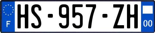 HS-957-ZH