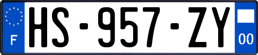 HS-957-ZY