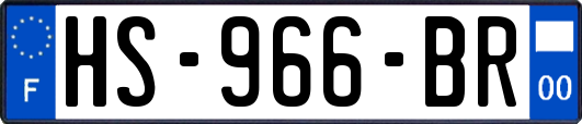 HS-966-BR