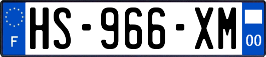 HS-966-XM