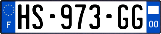 HS-973-GG