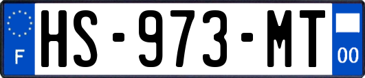 HS-973-MT