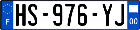 HS-976-YJ