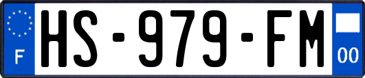 HS-979-FM