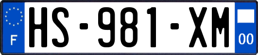 HS-981-XM