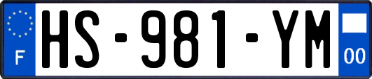 HS-981-YM