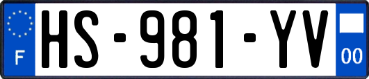 HS-981-YV