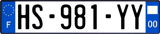 HS-981-YY