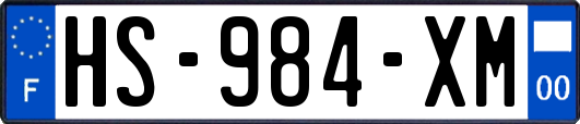 HS-984-XM