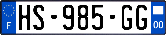 HS-985-GG