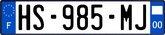 HS-985-MJ