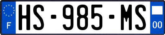 HS-985-MS