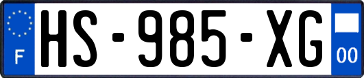 HS-985-XG