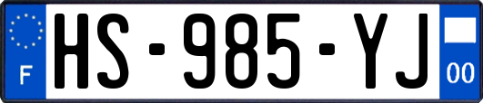 HS-985-YJ