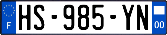 HS-985-YN