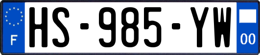 HS-985-YW