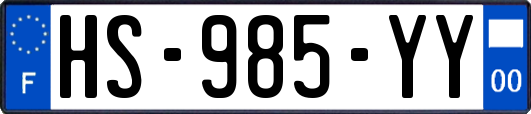 HS-985-YY