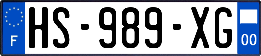 HS-989-XG
