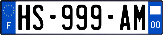 HS-999-AM