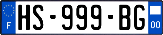 HS-999-BG