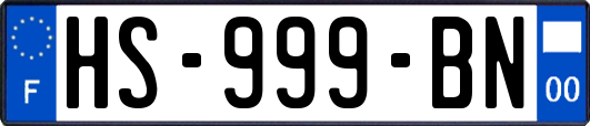 HS-999-BN