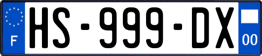 HS-999-DX