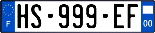 HS-999-EF