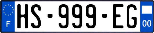 HS-999-EG