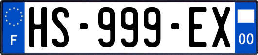 HS-999-EX