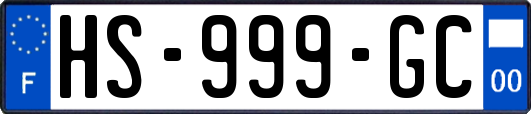 HS-999-GC