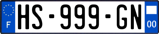 HS-999-GN