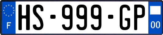 HS-999-GP