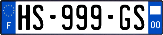 HS-999-GS