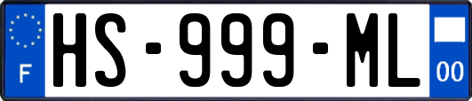 HS-999-ML