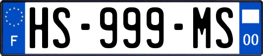 HS-999-MS