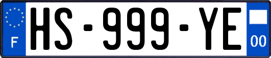 HS-999-YE