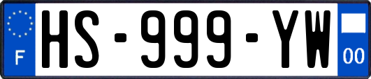 HS-999-YW