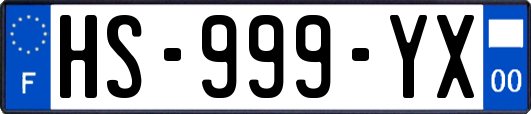 HS-999-YX