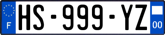 HS-999-YZ