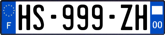 HS-999-ZH