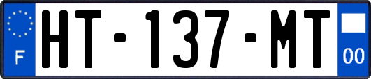 HT-137-MT