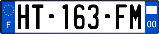 HT-163-FM