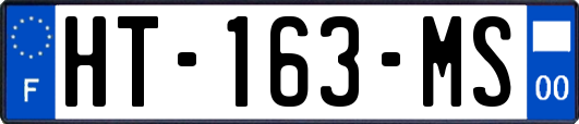 HT-163-MS