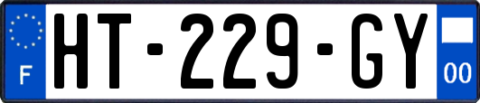HT-229-GY